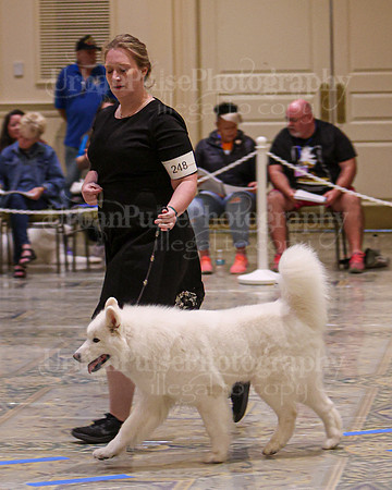 SCA2023_VET SWPS B10-12-2241