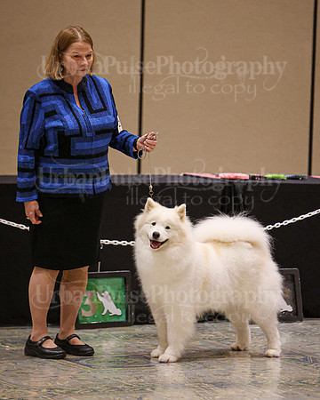 SCA2023_VET SWPS B10-12-2280