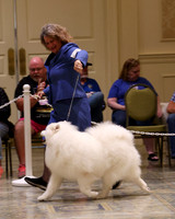 SCA2023_VET SWPS B12+-2521