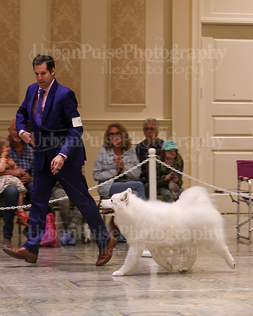 SCA2023_VET SWPS D8-10-1546