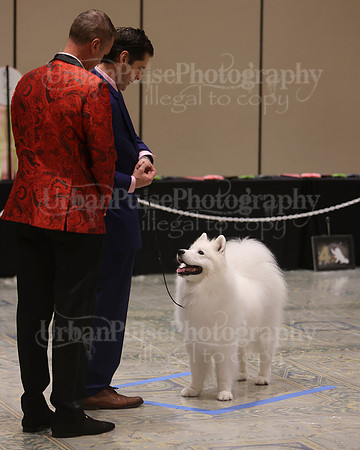 SCA2023_VET SWPS D8-10-1522