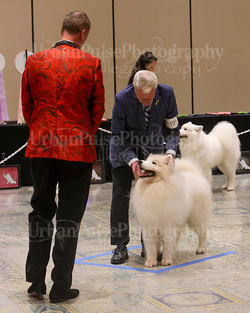 SCA2023_VET SWPS D8-10-1549