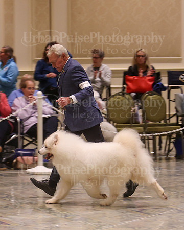 SCA2023_VET SWPS D8-10-1564
