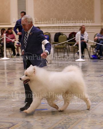 SCA2023_VET SWPS D8-10-1559