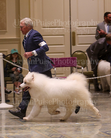 SCA2023_VET SWPS D8-10-1566