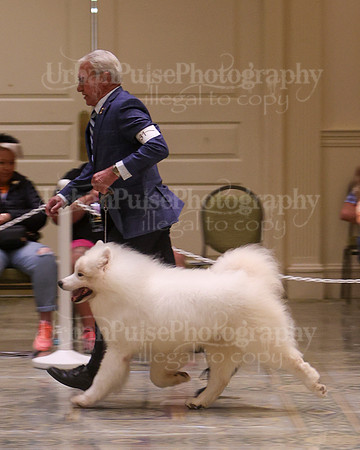 SCA2023_VET SWPS D8-10-1569