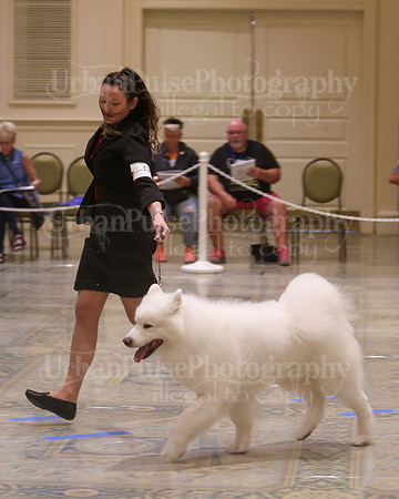SCA2023_VET SWPS D8-10-1572