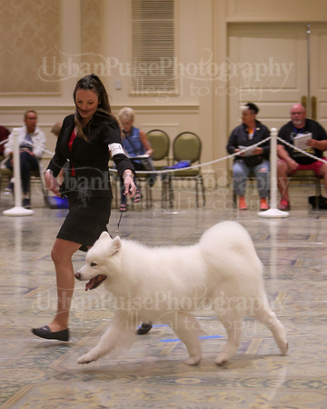 SCA2023_VET SWPS D8-10-1573