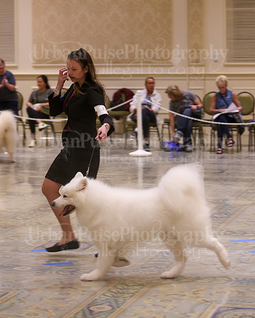 SCA2023_VET SWPS D8-10-1574
