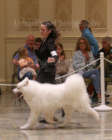 SCA2023_VET SWPS D8-10-1581