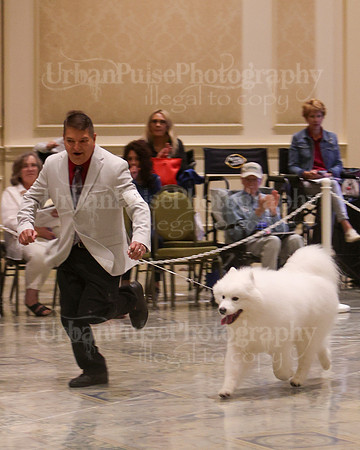 SCA2023_VET SWPS D8-10-1583