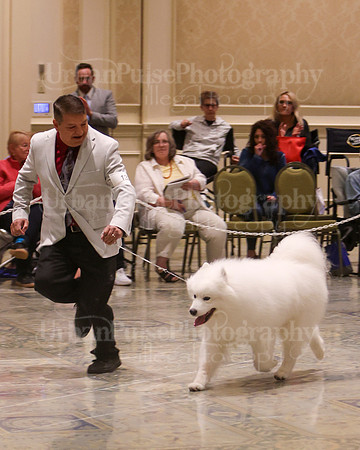 SCA2023_VET SWPS D8-10-1584