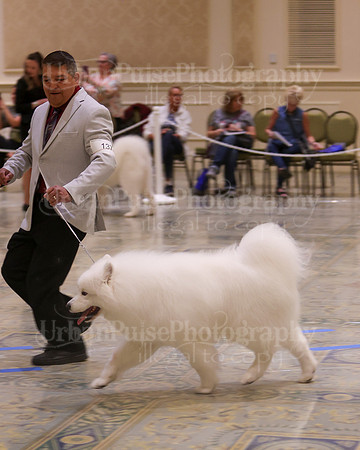 SCA2023_VET SWPS D8-10-1588