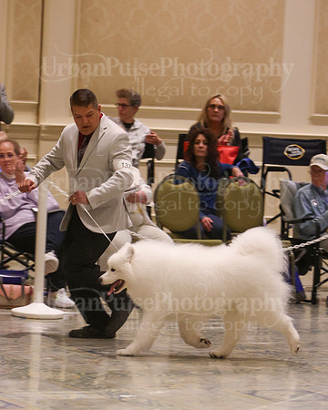 SCA2023_VET SWPS D8-10-1597