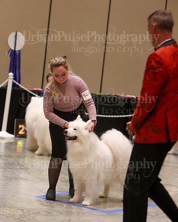 SCA2023_VET SWPS D8-10-1602