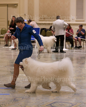 SCA2023_VET SWPS D8-10-1633
