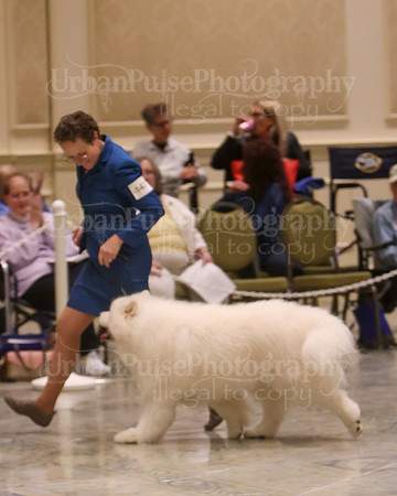 SCA2023_VET SWPS D8-10-1637