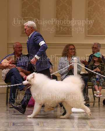 SCA2023_VET SWPS D8-10-1705