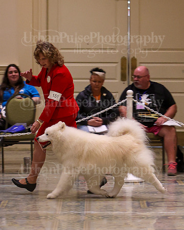 SCA2023_VET SWPS D10-12-1774