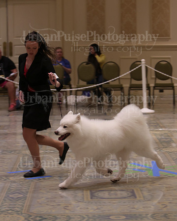 SCA2023_BEST VET SWPS & BOS-2718