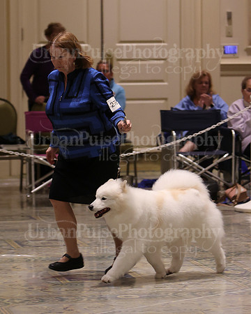 SCA2023_BEST VET SWPS & BOS-2748
