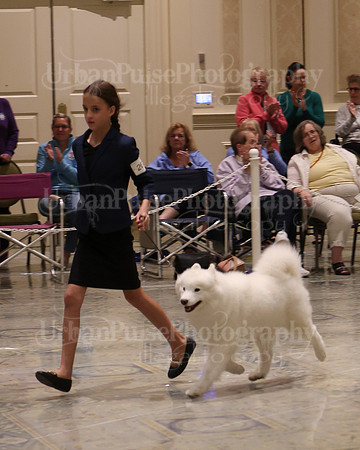 SCA2023_BEST VET SWPS & BOS-2758