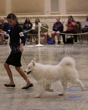 SCA2023_BEST VET SWPS & BOS-2760
