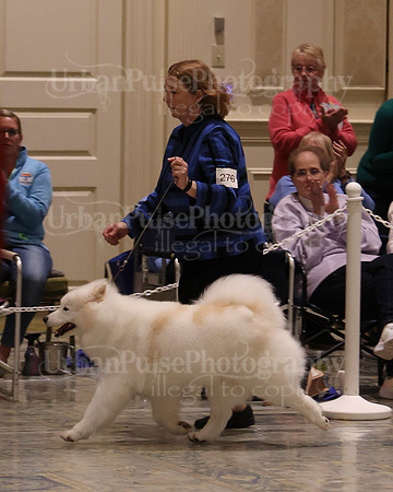 SCA2023_BEST VET SWPS & BOS-2770