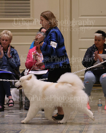 SCA2023_BEST VET SWPS & BOS-2774