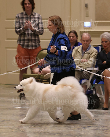 SCA2023_BEST VET SWPS & BOS-2779