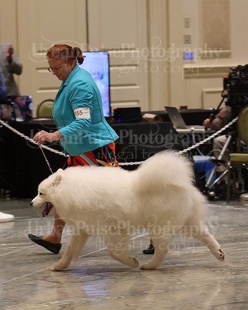 SCA2023_BEST VET SWPS & BOS-2787