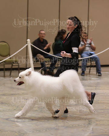 SCA2023_BEST VET SWPS & BOS-2799