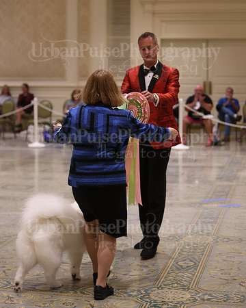 SCA2023_BEST VET SWPS & BOS-2801