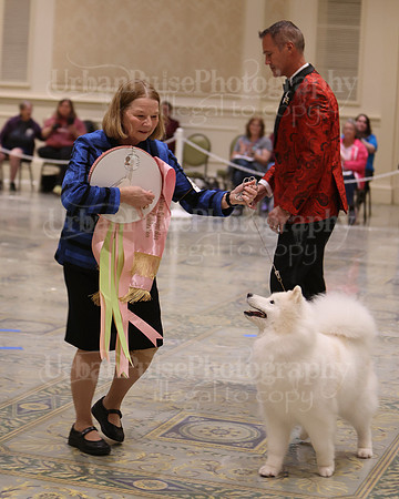 SCA2023_BEST VET SWPS & BOS-2805