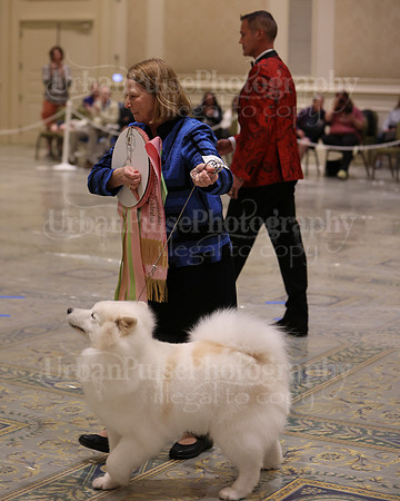 SCA2023_BEST VET SWPS & BOS-2807