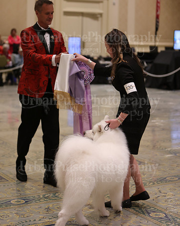 SCA2023_BEST VET SWPS & BOS-2808