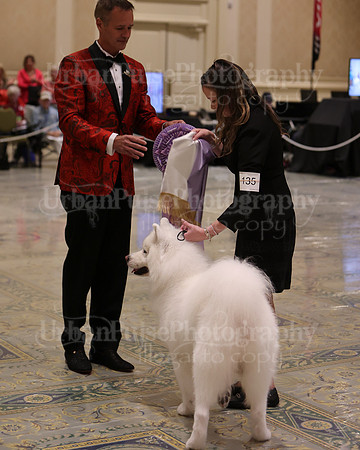SCA2023_BEST VET SWPS & BOS-2809