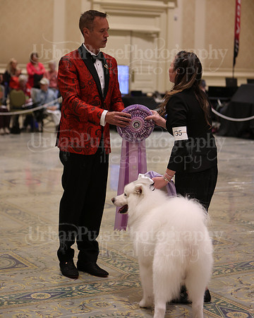 SCA2023_BEST VET SWPS & BOS-2810
