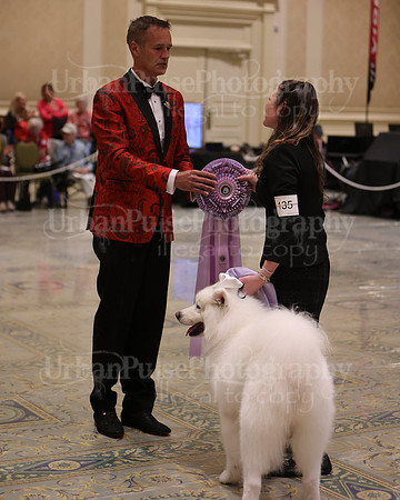 SCA2023_BEST VET SWPS & BOS-2811