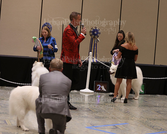 SCA2023_BEST VET SWPS & BOS-2814