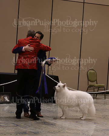 SCA2023_OLDEST IN VET SWPS-2832