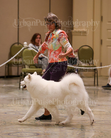 SCA2023_WK SWPS D-ADVANCED-8107