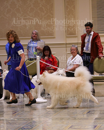 SCA2023_WK SWPS D-ADVANCED-8136
