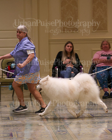 SCA2023_WK SWPS D-ADVANCED-8142