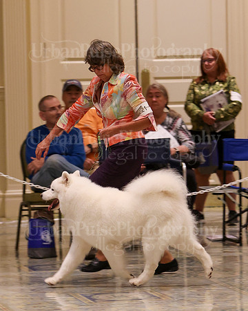 SCA2023_WK SWPS D-ADVANCED-8159