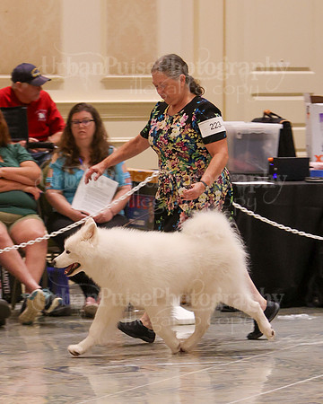 SCA2023_WK SWPS D-ADVANCED-8171