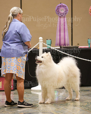 SCA2023_WK SWPS D-ADVANCED-8223