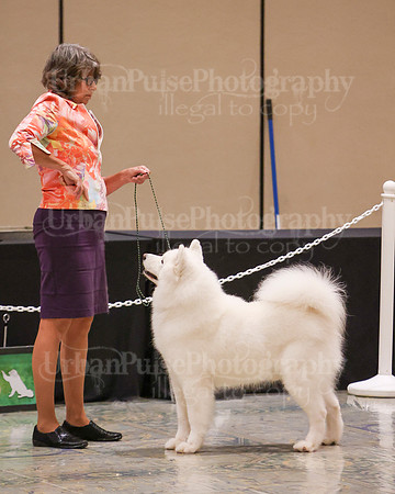 SCA2023_WK SWPS D-ADVANCED-8224