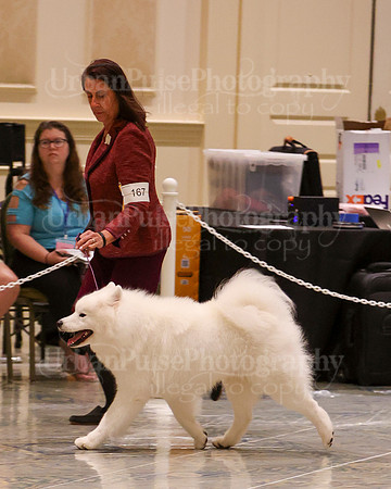 SCA2023_WK SWPS D-NOVICE-7558
