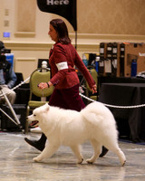 SCA2023_WK SWPS D-NOVICE-7556